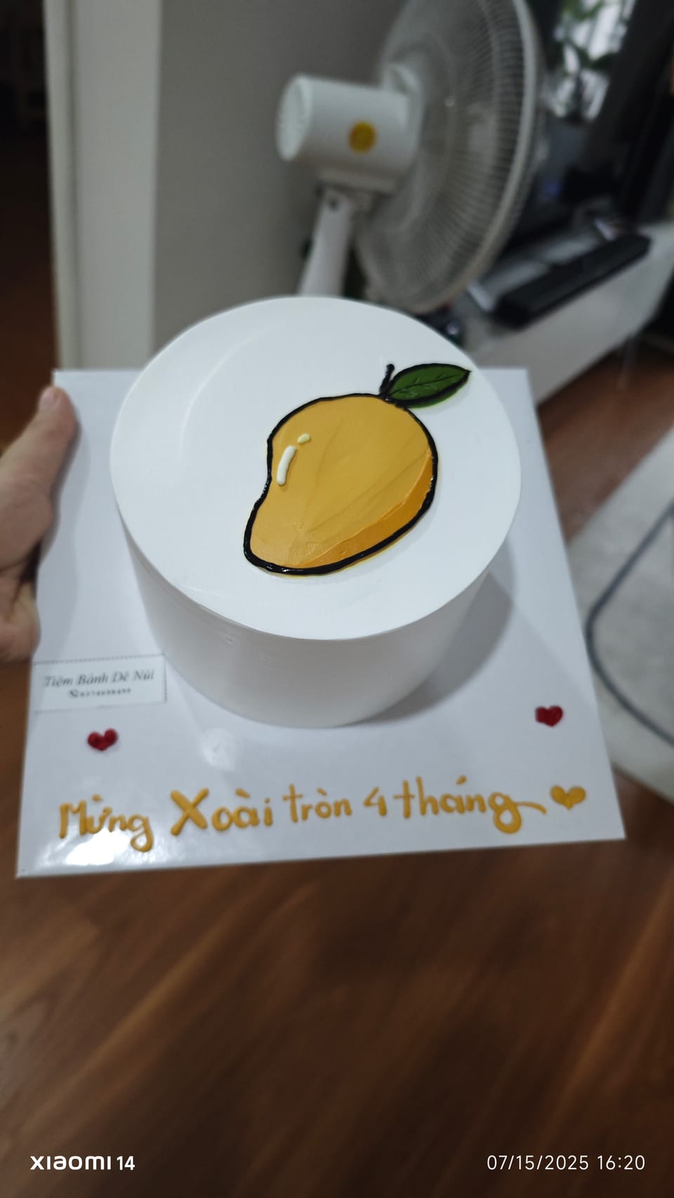 Xoài 4 tháng tuổi